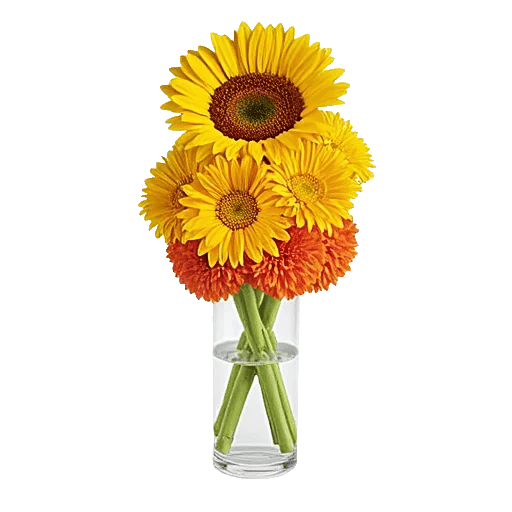 Radiant Bloom Cascade