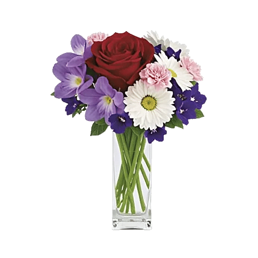 Crimson Blossom Harmony