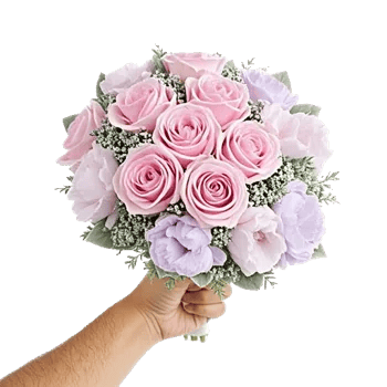 Pastel Pink Roses