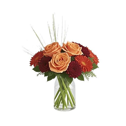 Petal Radiance Bliss