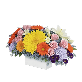 Golden Petal Harmony