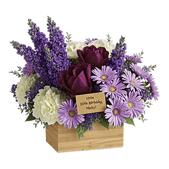 Petal Radiance Bliss