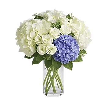 Azure Sky Blooms