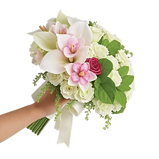 Elegant Calla Lilies