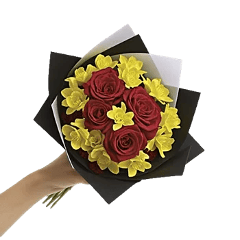 Crimson Rose Elegance