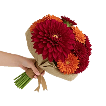 Crimson Blossom Harmony
