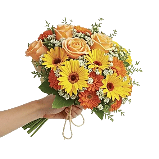 Petal Harmony Bliss