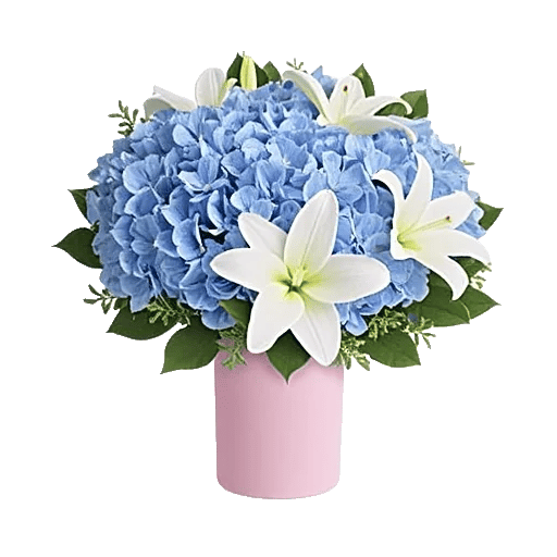 Azure Sky Blooms