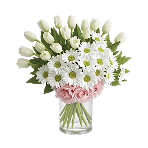 Ivory Blossom Radiance