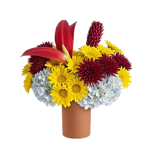 Petal Radiance Bliss