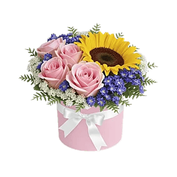 Blossom Petal Serenity