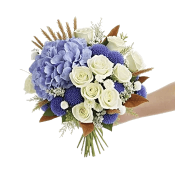 Serene Petal Harmony