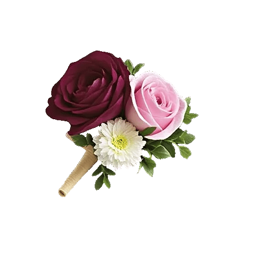 Delicate Petal Cascade