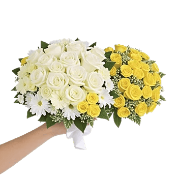 Ivory Garden Grace
