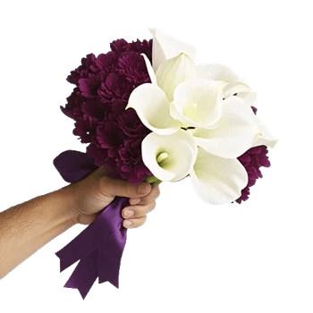 Elegant Calla Lilies