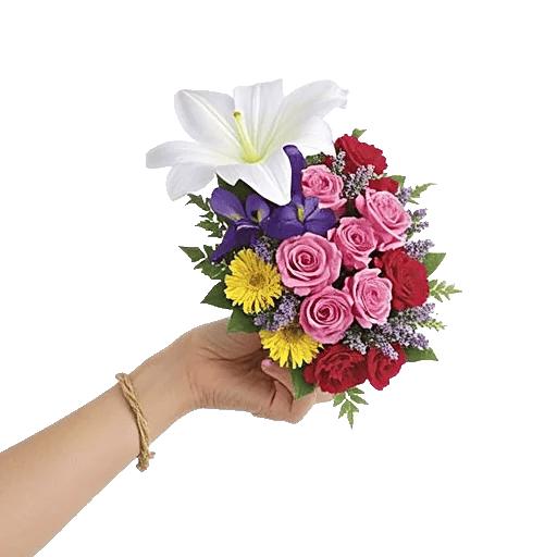 Ivory Blossom Radiance