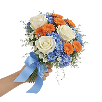 Serene Petal Harmony