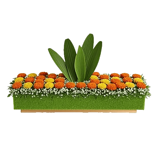 Petal Radiance Bliss