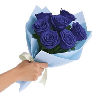 Elegant Blue Roses