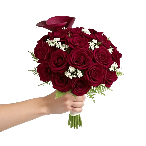 Elegant Calla Lilies