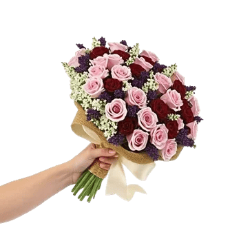 Blushing Rose Symphony