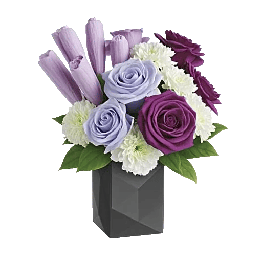 Elegant Blue Roses