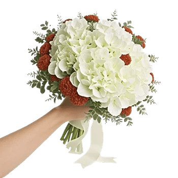 Delicate Petal Cascade