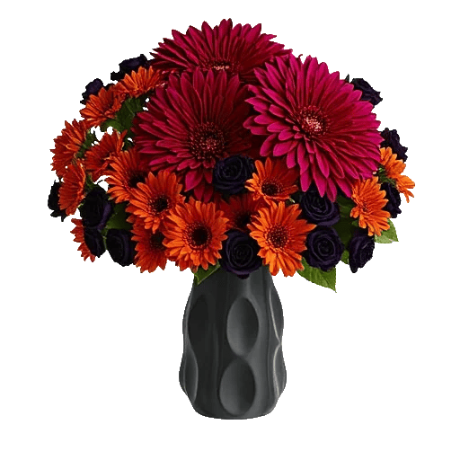 Crimson Blossom Harmony