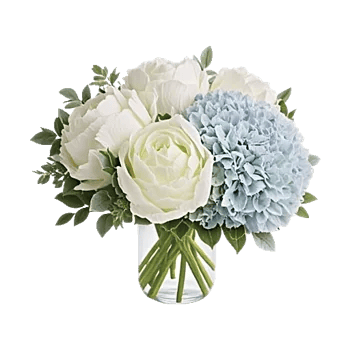 Petal Radiance Bliss