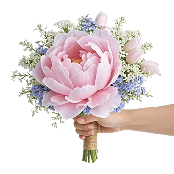 Peony Petal Harmony