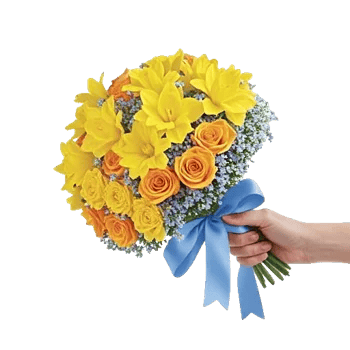 Soft Sunlight Blooms