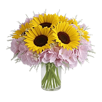 Radiant Bloom Cascade