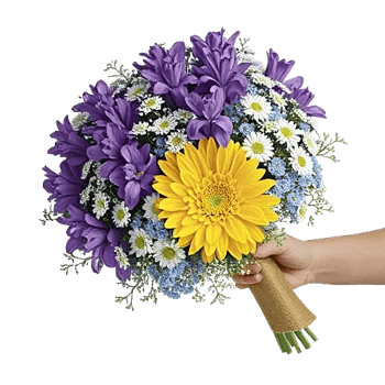 Blossom Harmony Display