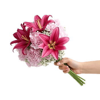 Blossom Petal Serenity