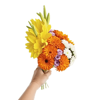 Blossom Harmony Display