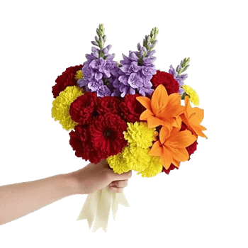 Petal Harmony Bliss