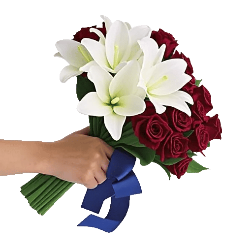 Crimson Rose Elegance