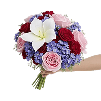 Petal Grace Harmony