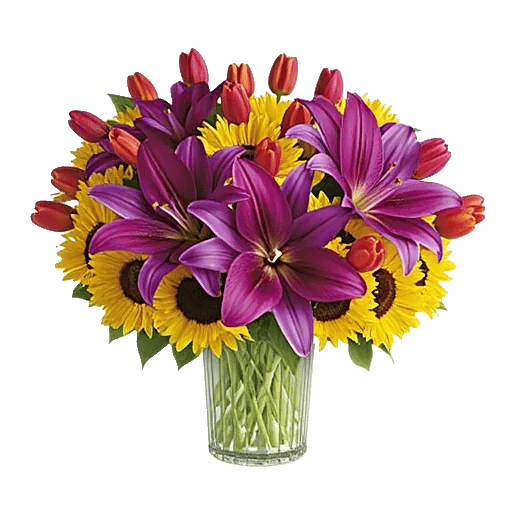 Velvet Tulip Display