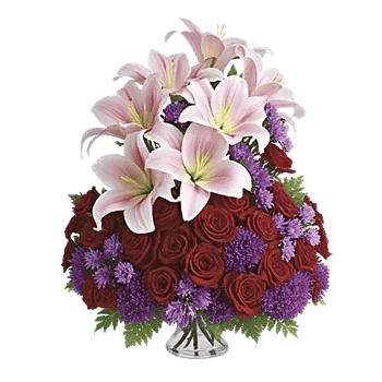 Serene Lily Cascade