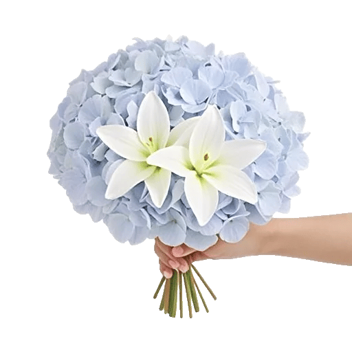 Serene Petal Harmony
