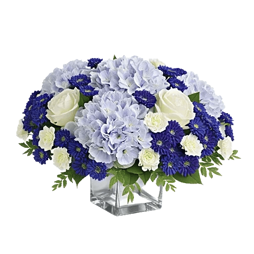 Sapphire Bloom Whisper