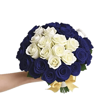 Ivory Garden Grace