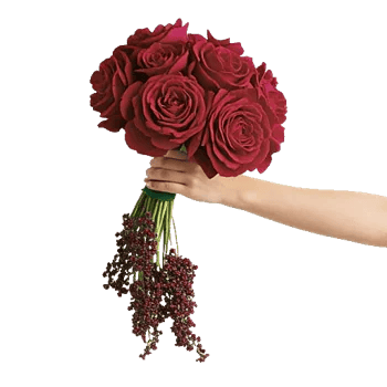 Delicate Petal Cascade