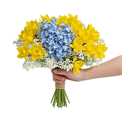 Blossom Harmony Display