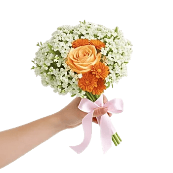 Blushing Rose Symphony