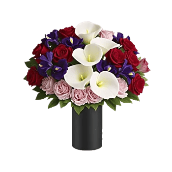 Elegant Calla Lilies