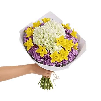 Blossom Harmony Display