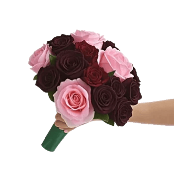 Peony Petal Harmony