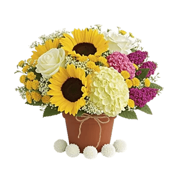 Amber Sunflower Glow